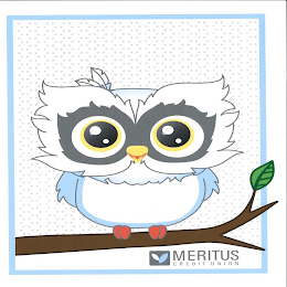 MERITUS CREDIT UNION logo