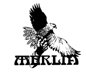 MERLIN logo