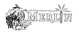 MERLIN logo