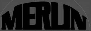 MERLIN logo