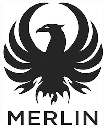 MERLIN logo