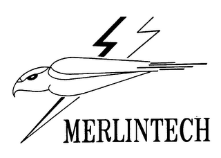 MERLINTECH logo