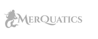 MERQUATICS logo