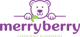 MERRYBERRY CARPATHIAN BLUEBERRIES logo