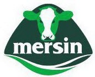 MERSIN logo