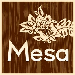MESA logo