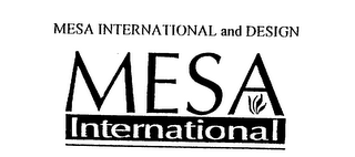 MESA INTERNATIONAL logo