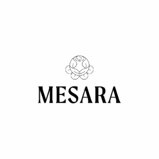 MESARA logo