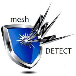 MESH DETECT logo