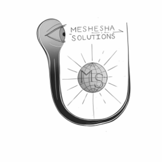 MESHESHA SOLUTIONS M S logo
