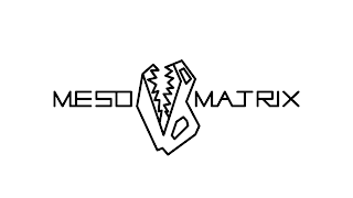 MESO MATRIX logo