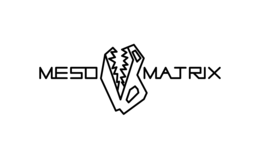 MESO MATRIX logo