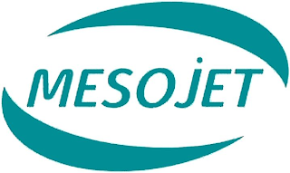 MESOJET logo