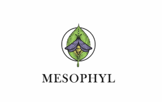 MESOPHYL logo