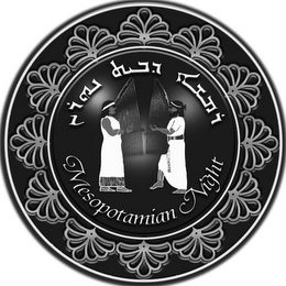 MESOPOTAMIAN NIGHT logo
