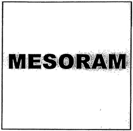 MESORAM logo