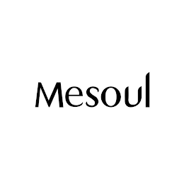 MESOUL logo