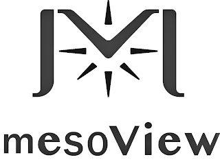 MESOVIEW logo