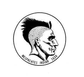 MESPACHTES INDIAN 1638 logo