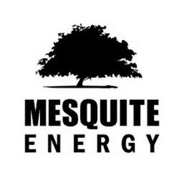 MESQUITE ENERGY logo