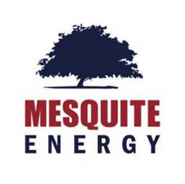 MESQUITE ENERGY logo
