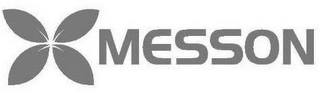 MESSON logo