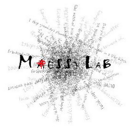 MESSY LAB logo
