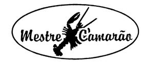 MESTRE CAMARAO logo