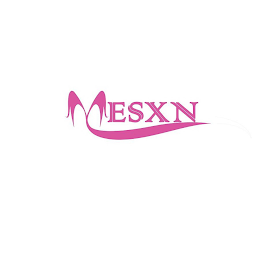 MESXN logo