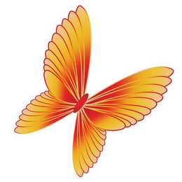 MET-A-MORPH LIFE CHANGING TRANSFORMATIONS logo