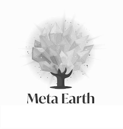 META EARTH logo