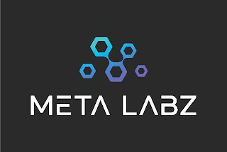 META LABZ logo