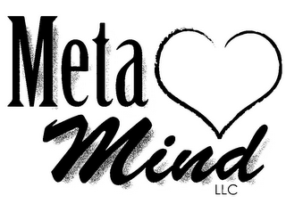 META MIND LLC logo