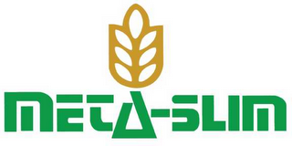META-SLIM logo