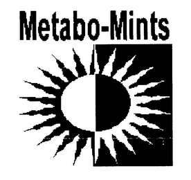METABO-MINTS logo