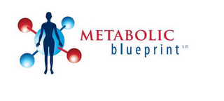 METABOLIC BLUEPRINT logo