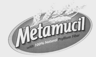 METAMUCIL WITH 100% NATURAL PSYLLIUM FIBER logo