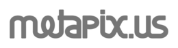 METAPIX.US logo