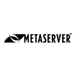 METASERVER logo