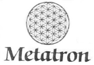 METATRON logo
