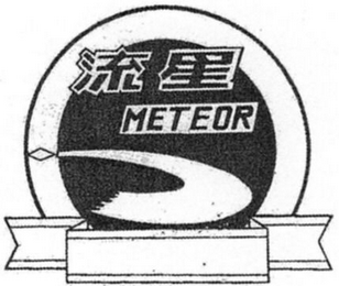 METEOR logo