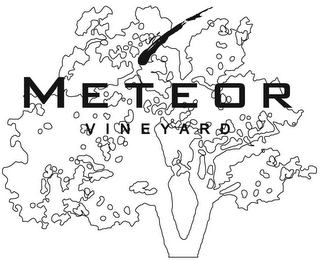 METEOR VINEYARD logo