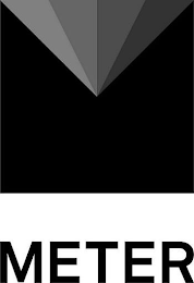 METER logo