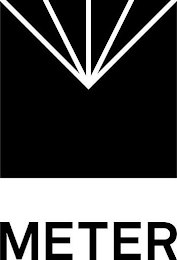 METER logo