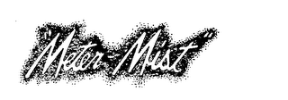 "METER-MIST" logo