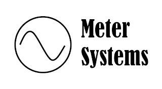 METER SYSTEMS logo
