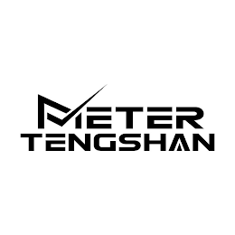 METER TENGSHAN logo