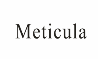 METICULA logo