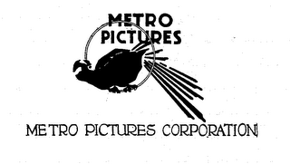 METRO PICTURES METRO PICTURES CORPORATION logo