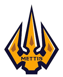 METTIS logo